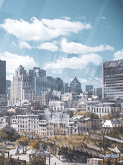 영원한 7일의 도시 드림