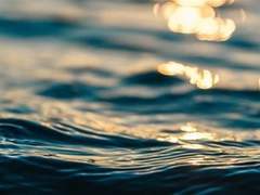 곧 파멸을 맞을 모든 고립된 것.