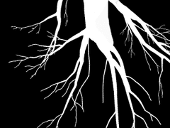 [루츠] 레널드와 로즈