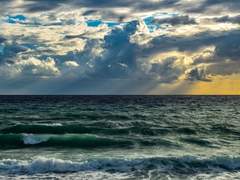 친애하는 헤이즐 L. 에버웨일에게,