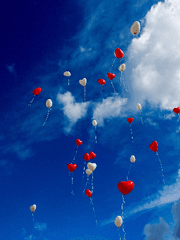 세상에 잘못 된 일은 없는걸까