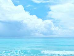 링마벨 플레이 리스트