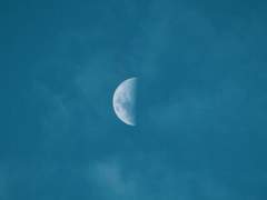 세상에서 가장 어려운 리본 묶기