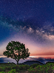 전지적 성좌 시점