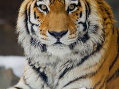 [천민부터 황후까지, 외전]