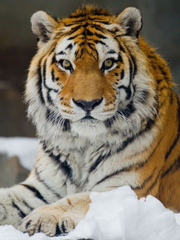 [국뷔] [완결] 천민부터 황후까지