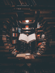 [팀샐러드] 13월 32일