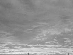 Raindrops keep fallin' on my head