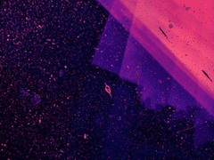 비린맛 혹은 비린내