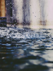 트위터 썰 백업