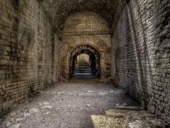 가장 바라고 가장 두려운 것은