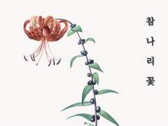 참나리꽃 上