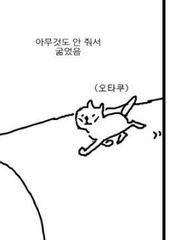 키마님 BL 소설 시리즈