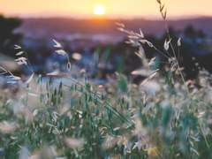 부디 너와의 평화로운 일상이 부서지지 않기를.