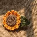 문대야지갑열어