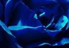 Dear my ■■■■■■