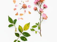 [패치퍼블] 그래도 괜찮아-上