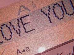 고양이는 강아지에게 사랑을 외치고.