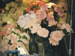 필름 스냅사진 커미션