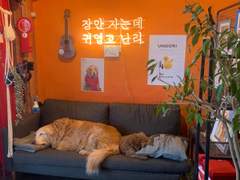 210327 모노제이, 범진 (@언플러그드)