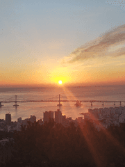 어떤 이야기의 단편들