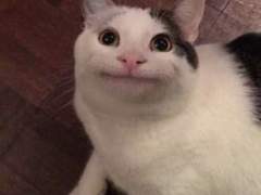 헤헷 구독자 200 감사합니다