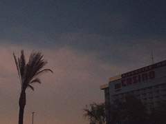 양 온유 프로필