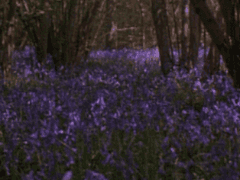 푸른 숲에는 괴물이 산다 02