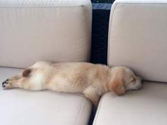 [슨숨] 생일축하해