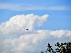 [미도치아] 여름