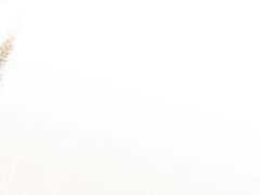 당신을 위한 몫