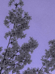 사랑받고 싶은 아이