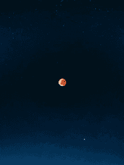 MHA  끝없는 어둠속에서의 한 줄기의 빛 re