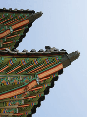 눈 떴는데 여기가 어디예요? SSUL