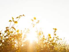 제가 당신께 해줄 수 있는 것은,