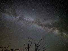 불가능을 바라며