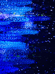 우울증 1년차의 노이즈