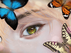 찌르레기 나비 소스