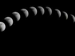 觀心:[마음의 본성(本性)을 살핌.]