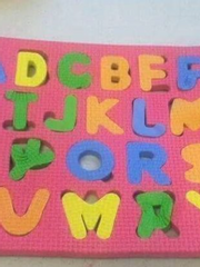 식물성 양 콘소메