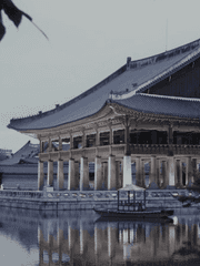 ​비연悲緣 이라 여기고 싶지 않았습니다.