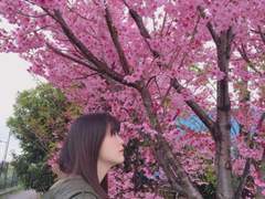 5년을 보내고 또 5년.