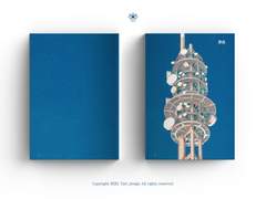 [마사니노] 하와이, 블루