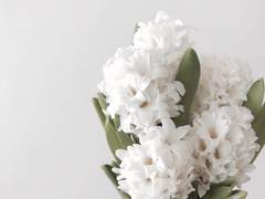 나의 자랑은 나의 자멸(自滅)이다*