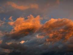 독서실의 파라다이스