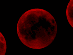 [아카자키 켄야/남/콘트라베이스/음악을 사랑하는 B]