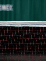 츠무히나 월간 전력