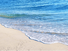 그 여름날의 너와 난