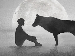 무임승차한 여우 2