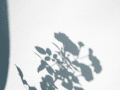 [PC,모바일 무료 그림툴 추천](다운로드 링크 포함)